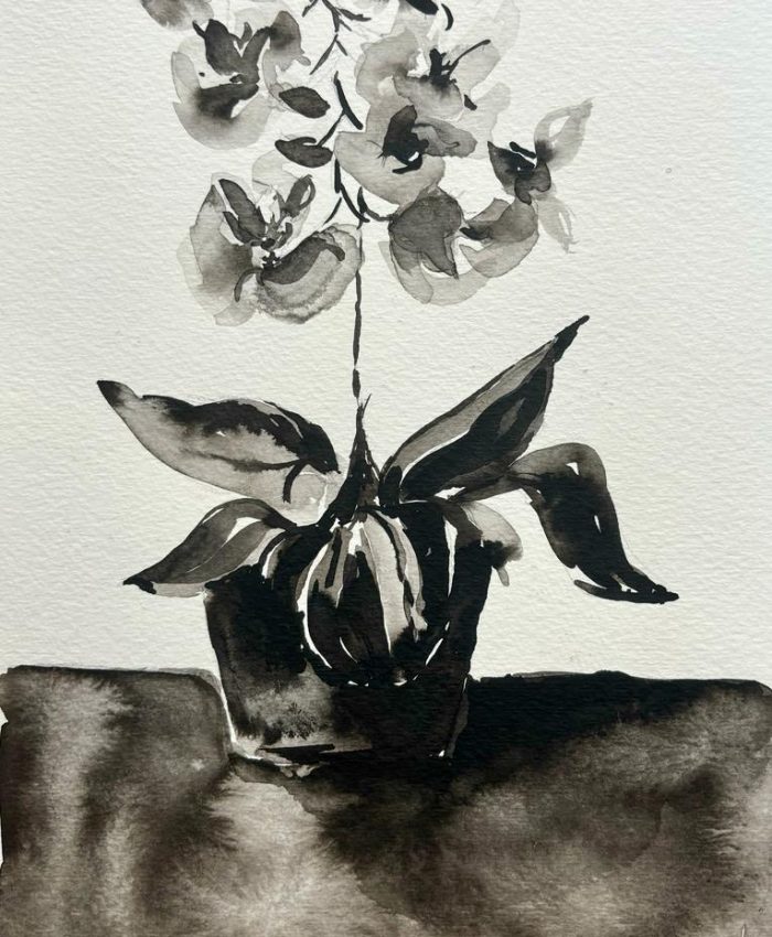 Orquídea